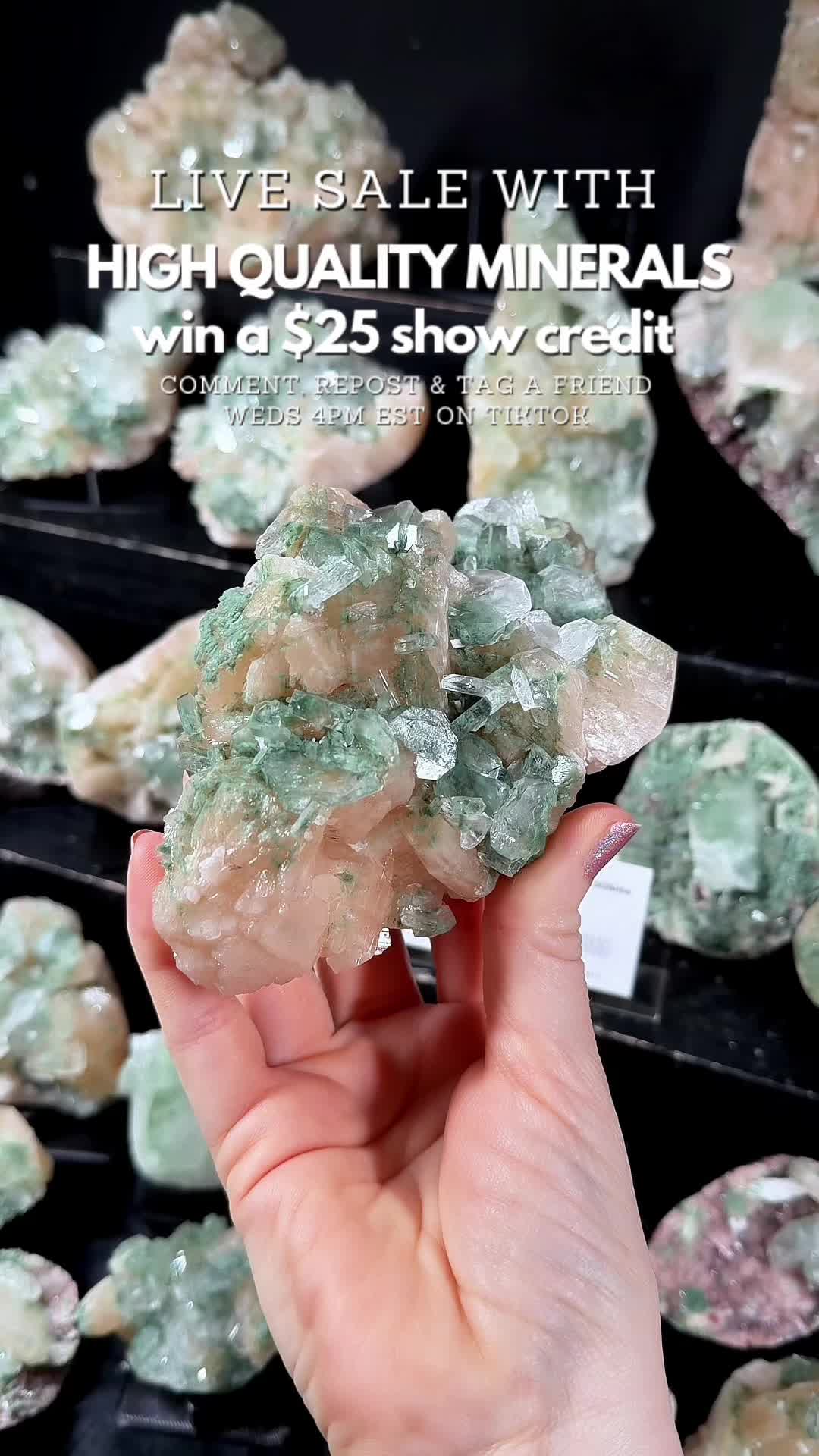 @Crystal Live Emporium✨Natalie