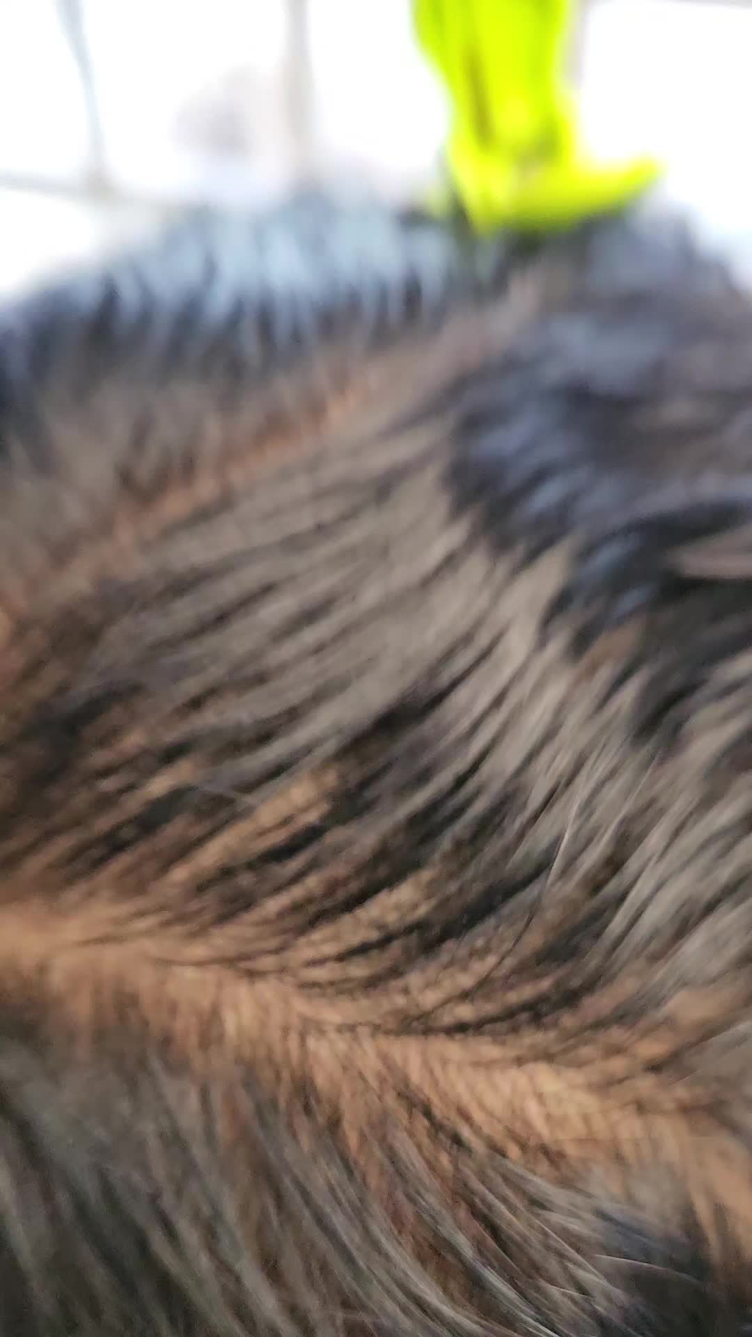 @lunar.sanctum.hair.co