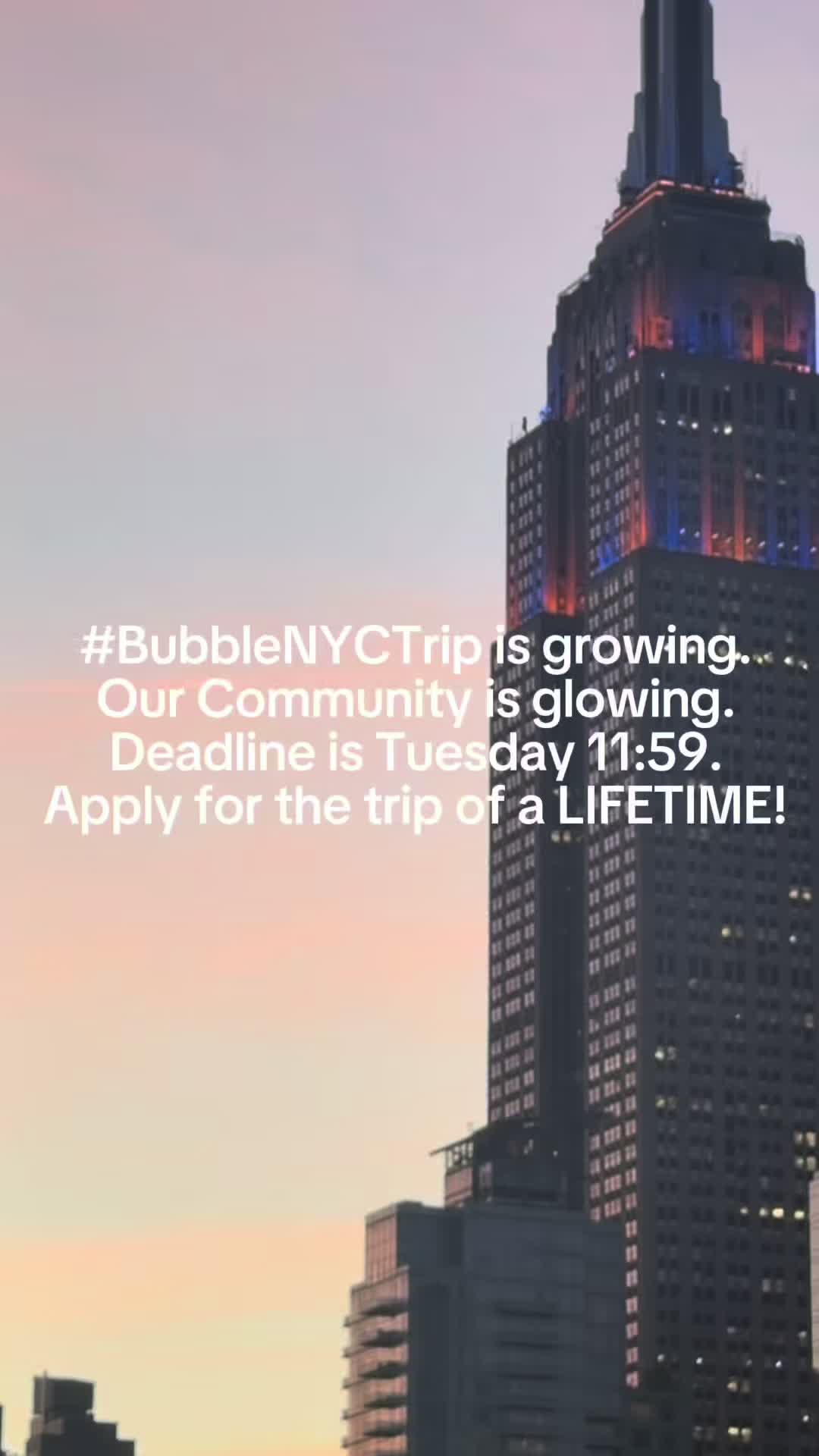 @Bubble Insiders