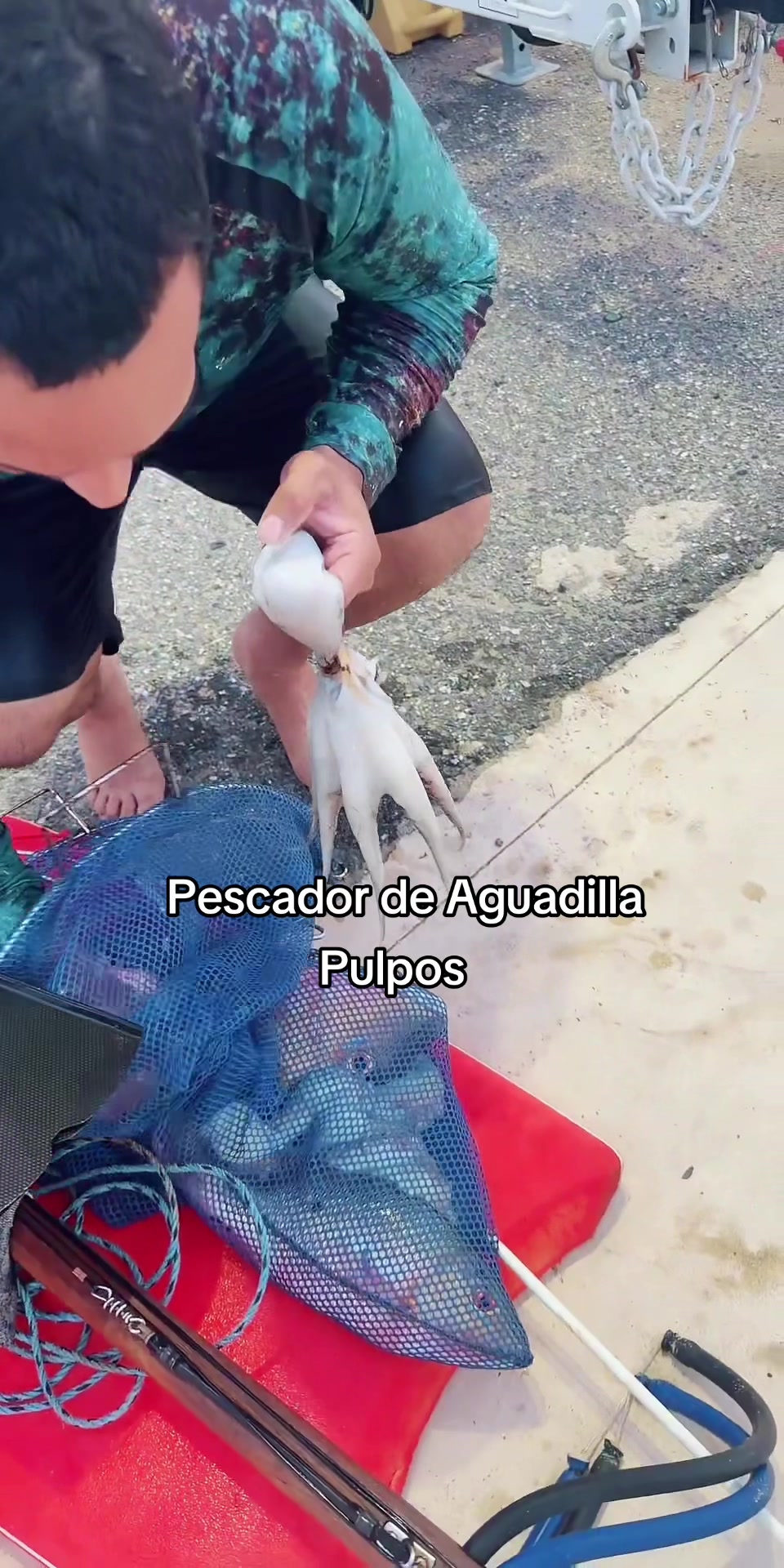 @Puerto Rico Isla Preciosa