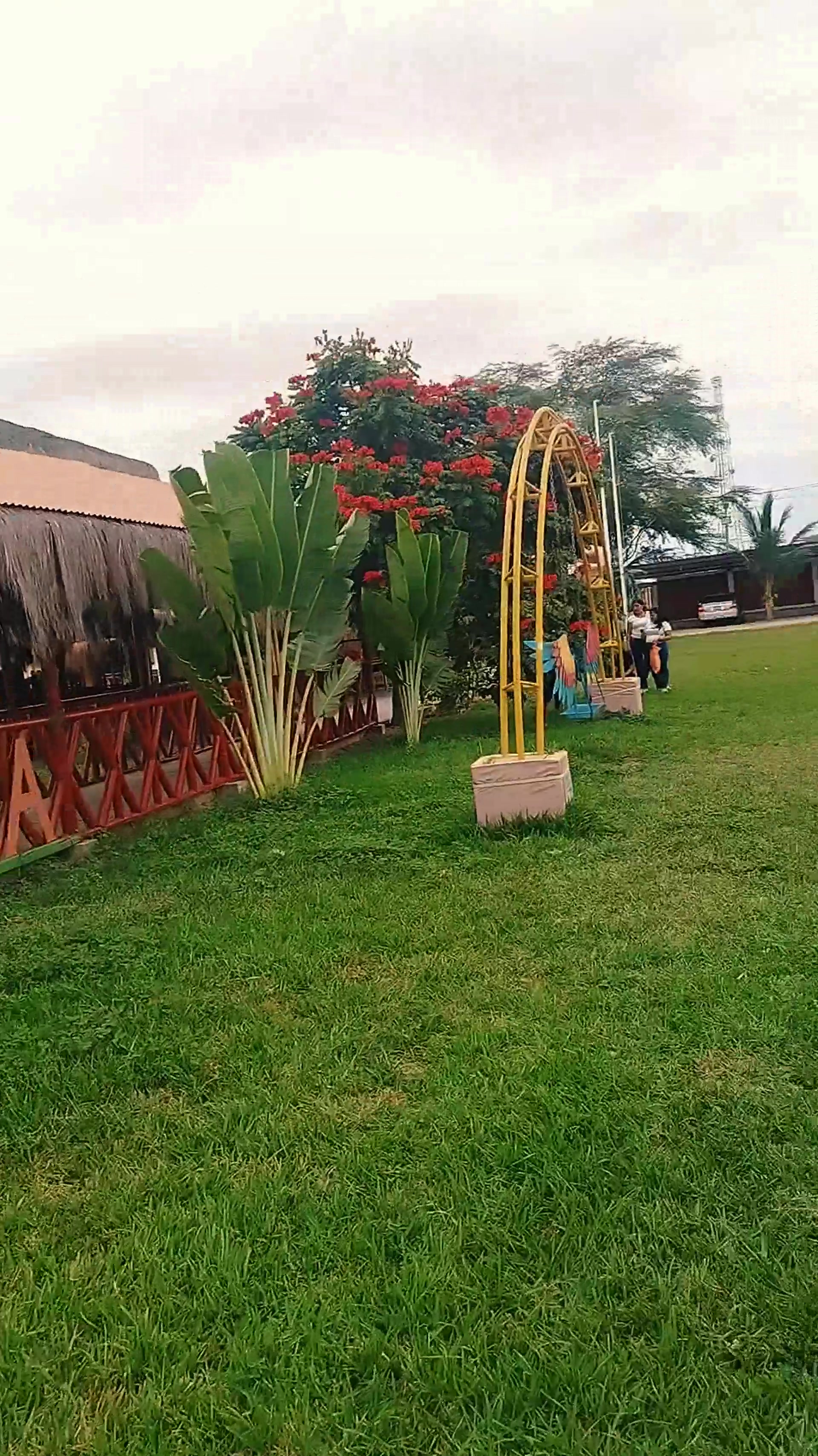 @Fátima pingo
