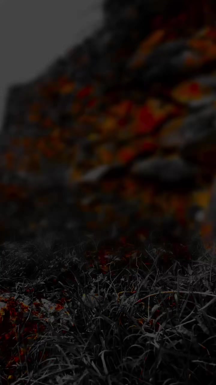 @𝑀𝑂𝐻𝐴𝑀𝑀𝐴𝐷