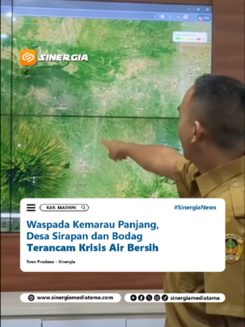 @SINERGIA MEDIATAMA