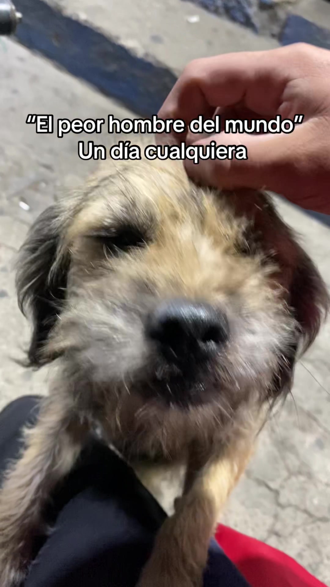 @elcarlosxd.0
