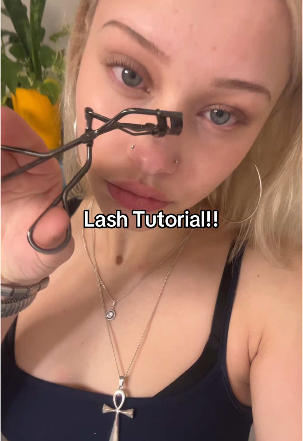 @sophia hulina