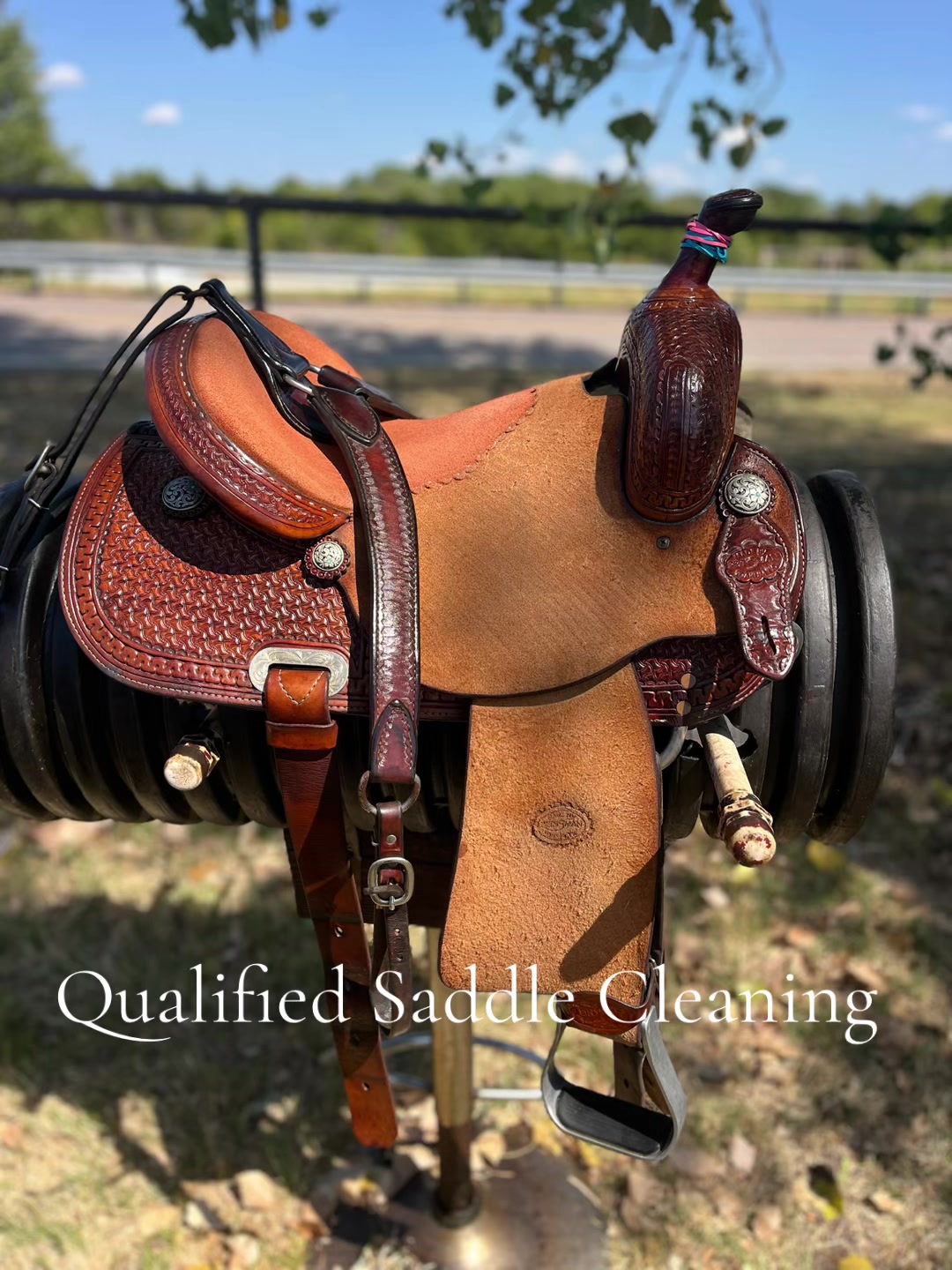 @Qualified Saddle Cleaning