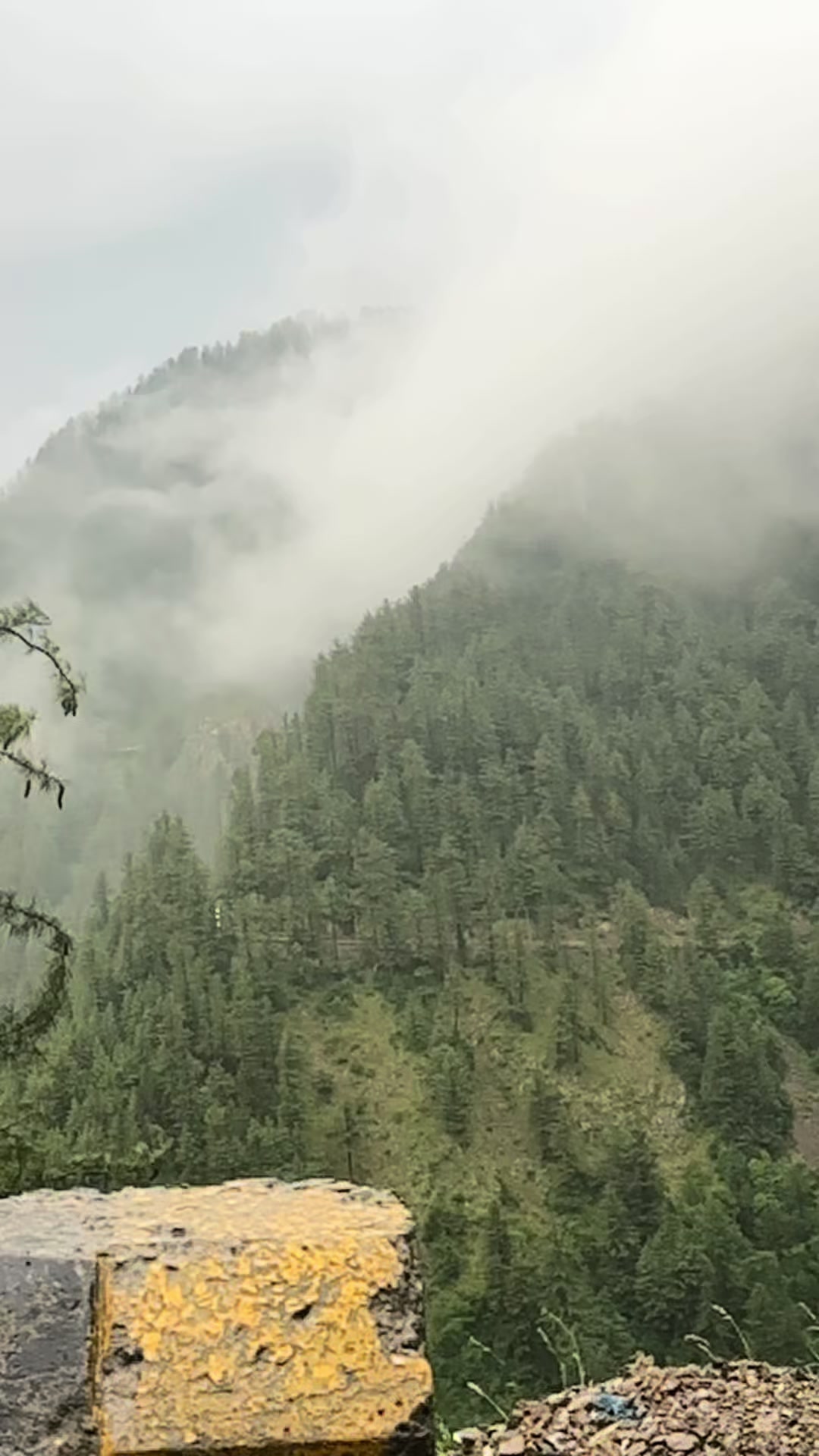 @I M T I A Z 🇵🇰