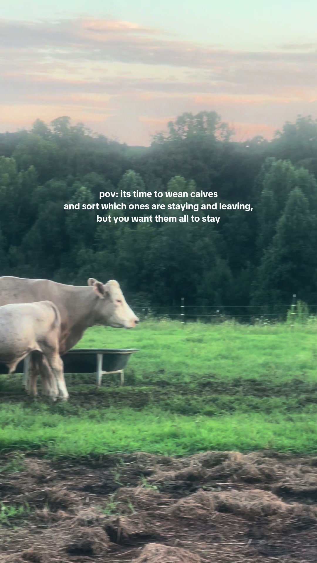 @Sami &bull; LDH Farmstead