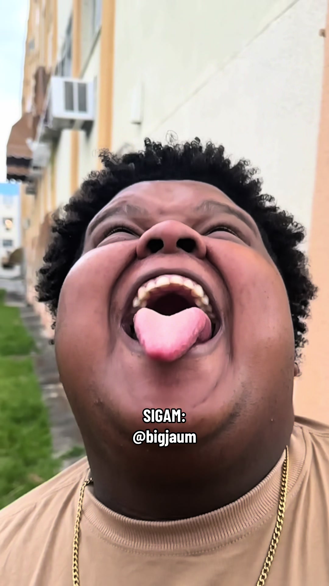 @Big Jaum