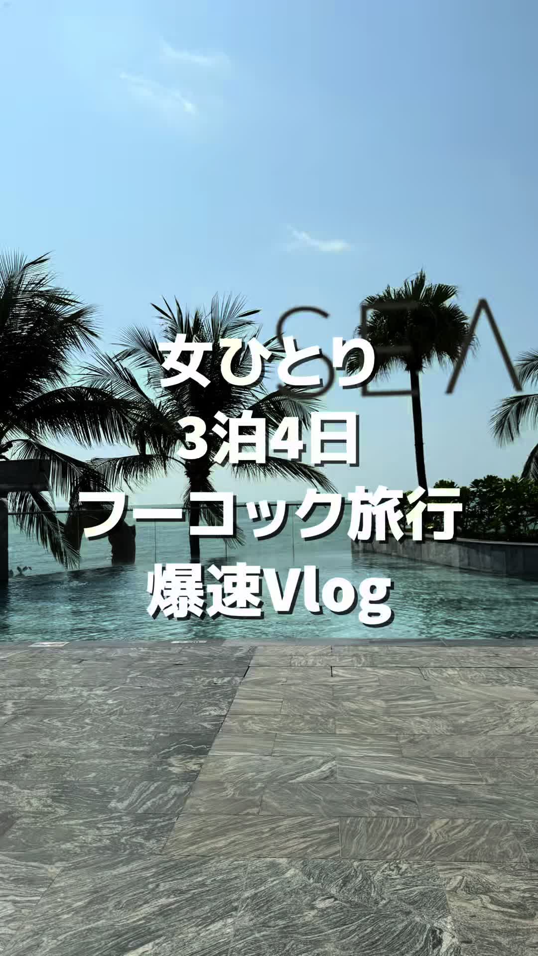 @肩幅ゴリラ🦍✈️