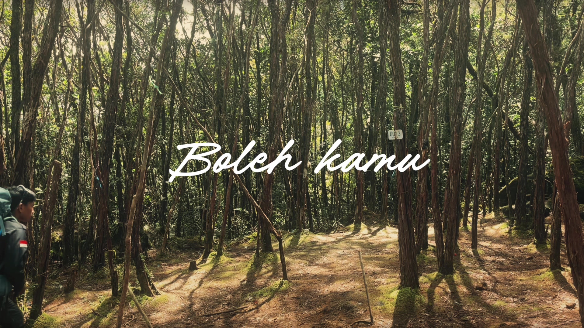 @wak