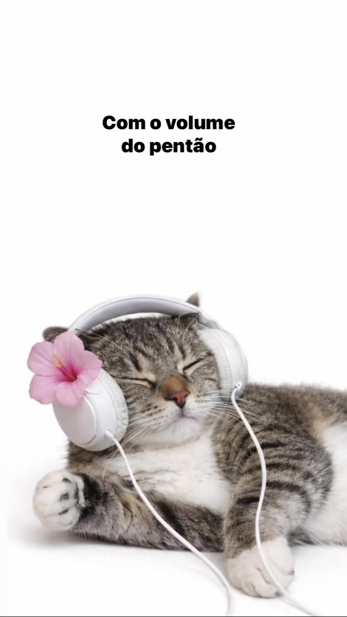 @user1606