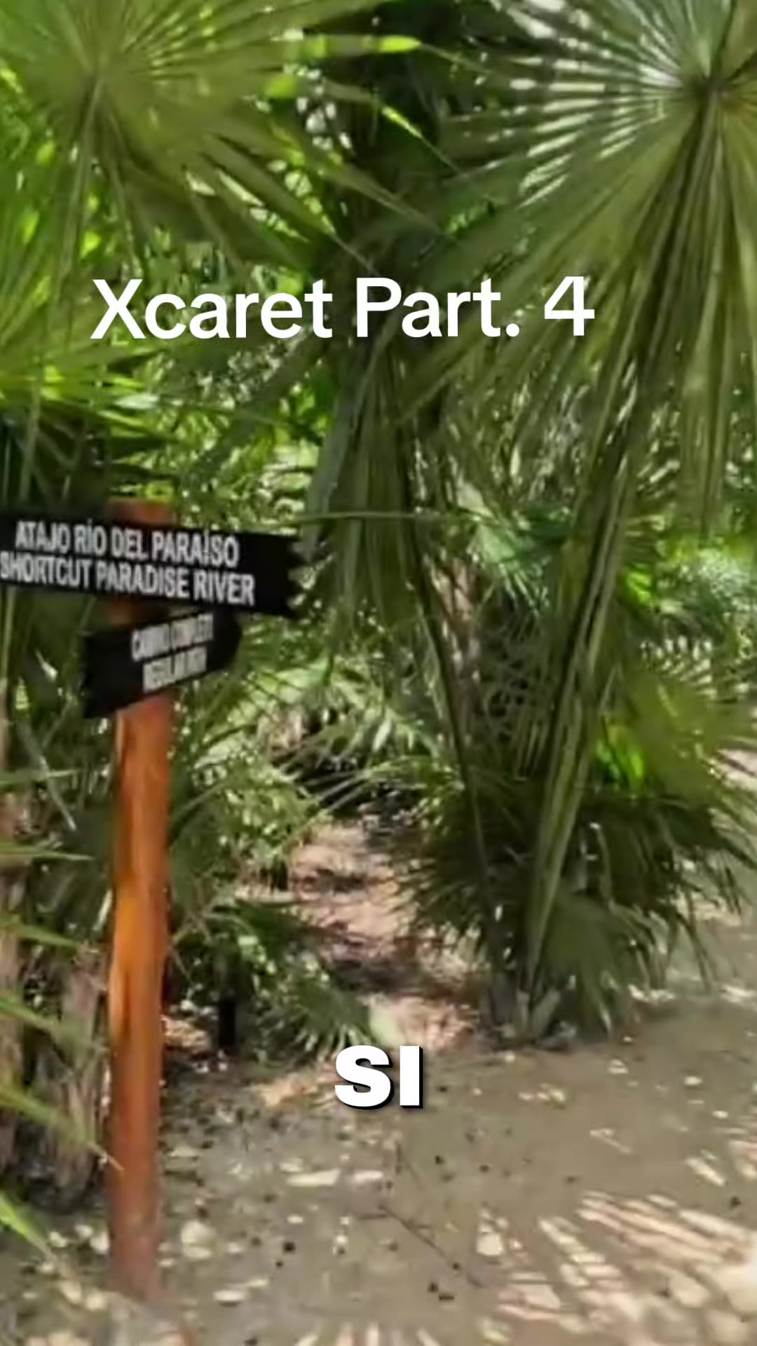@Luisma Lugo