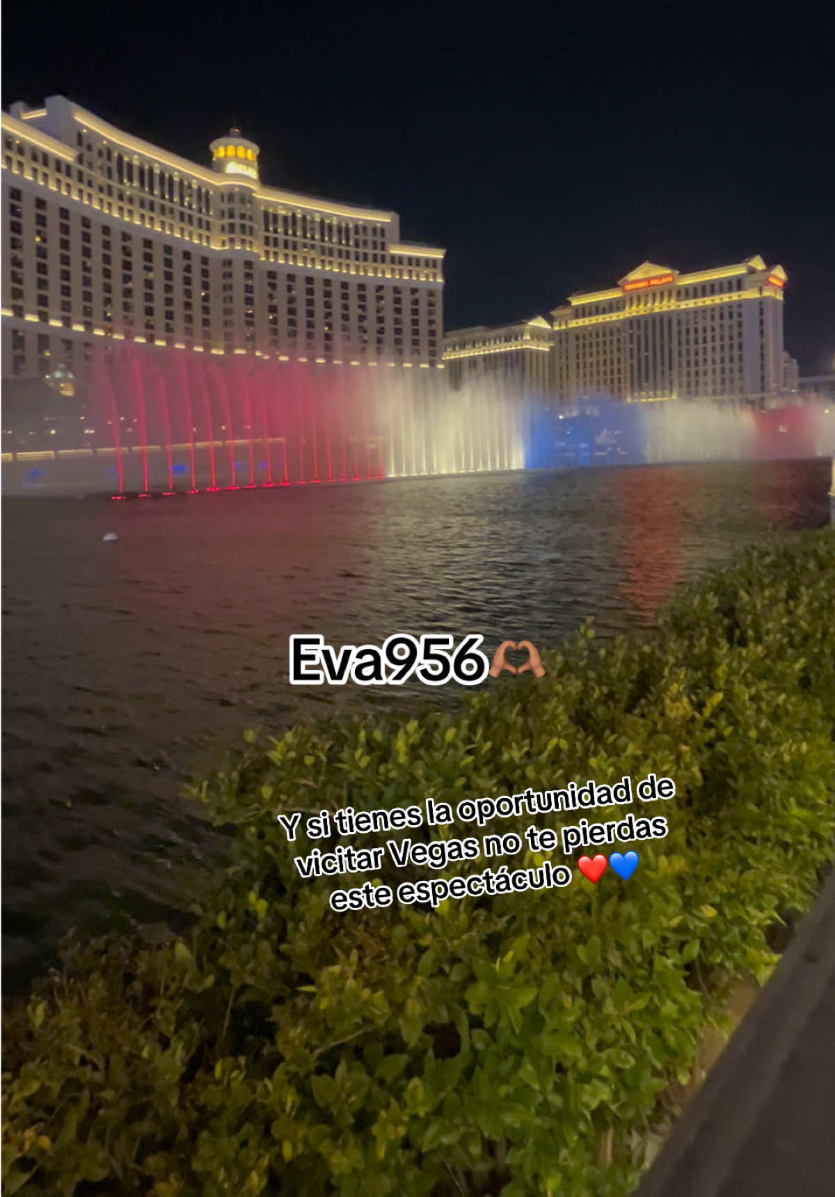 @Eva 956 🫶🏽
