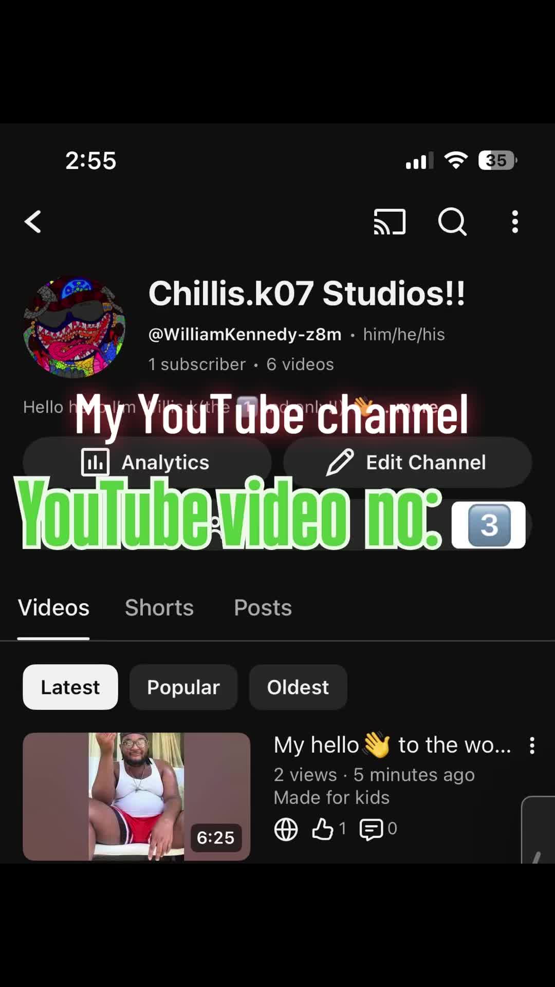 @chillzillas07