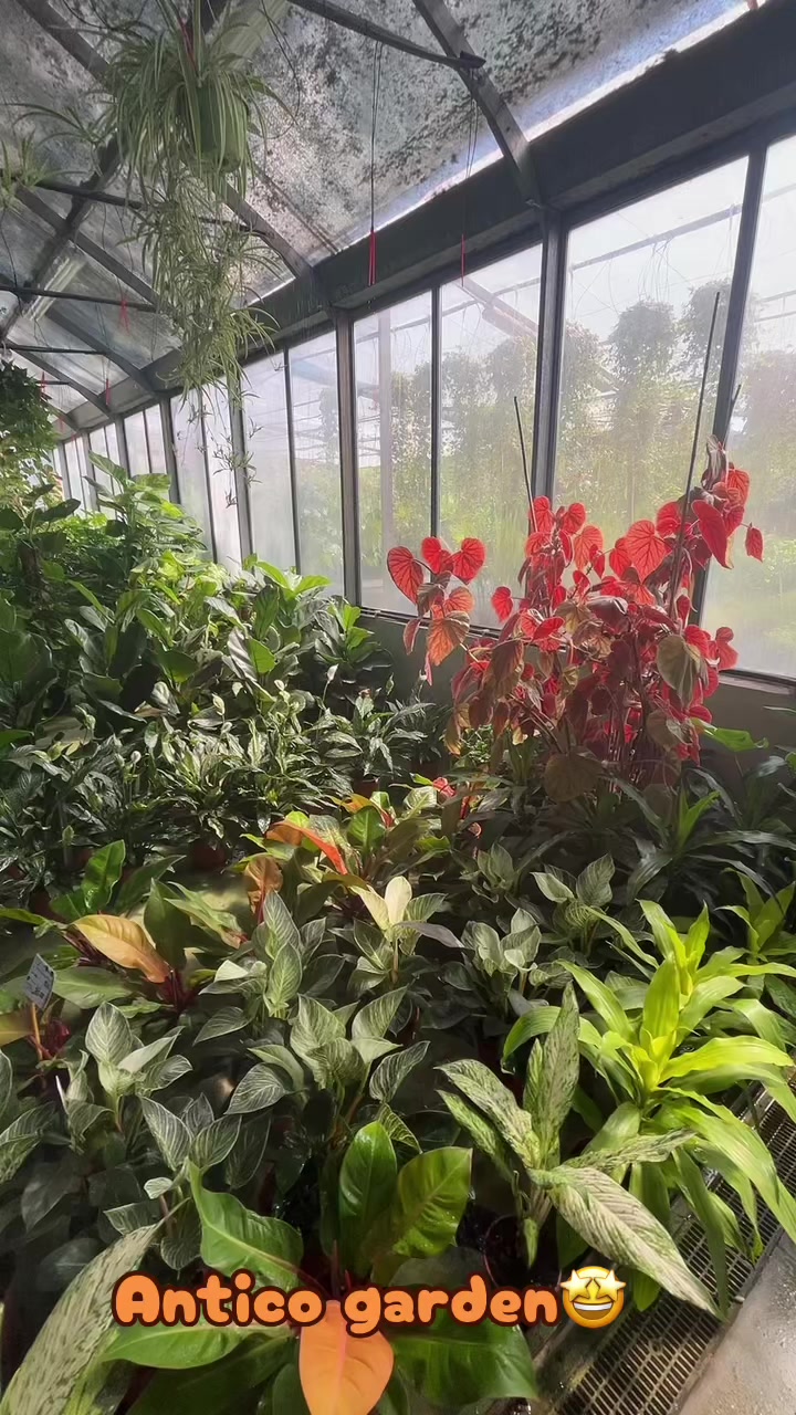 @vivaioanticogarden