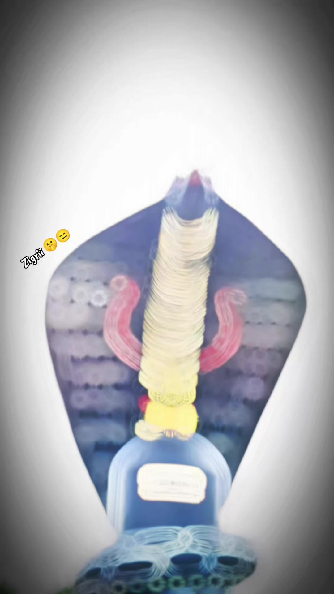 @🖤⃝ѕнαԩ───ˢˢメ亗