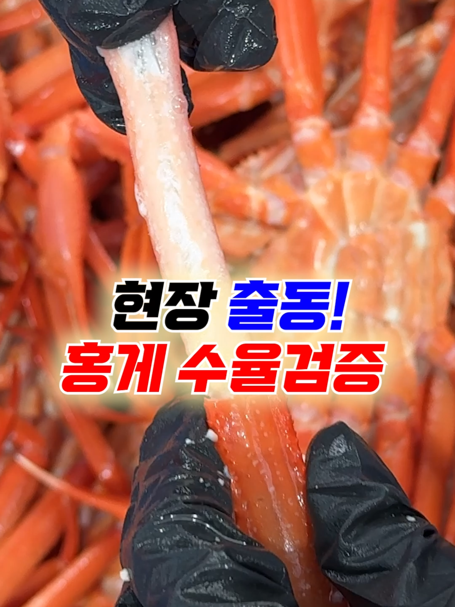 @싱싱헌터스