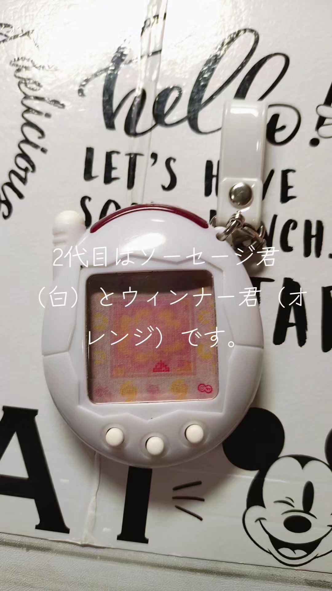 @スギマユ