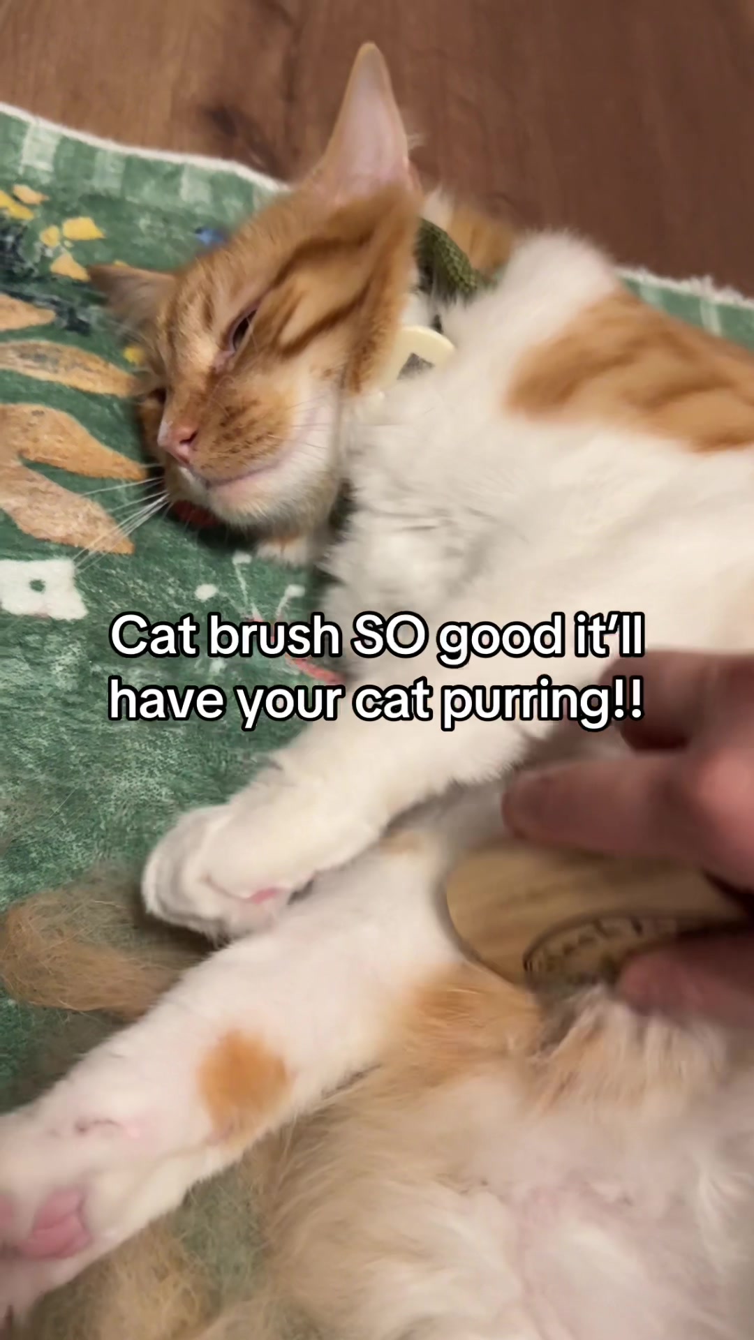 @meloncreamcat