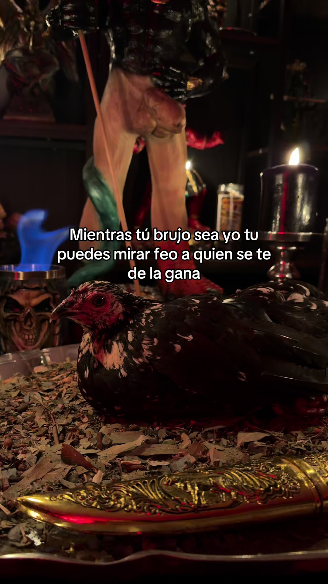 @EDGAR23 “EL CHAMÁN”
