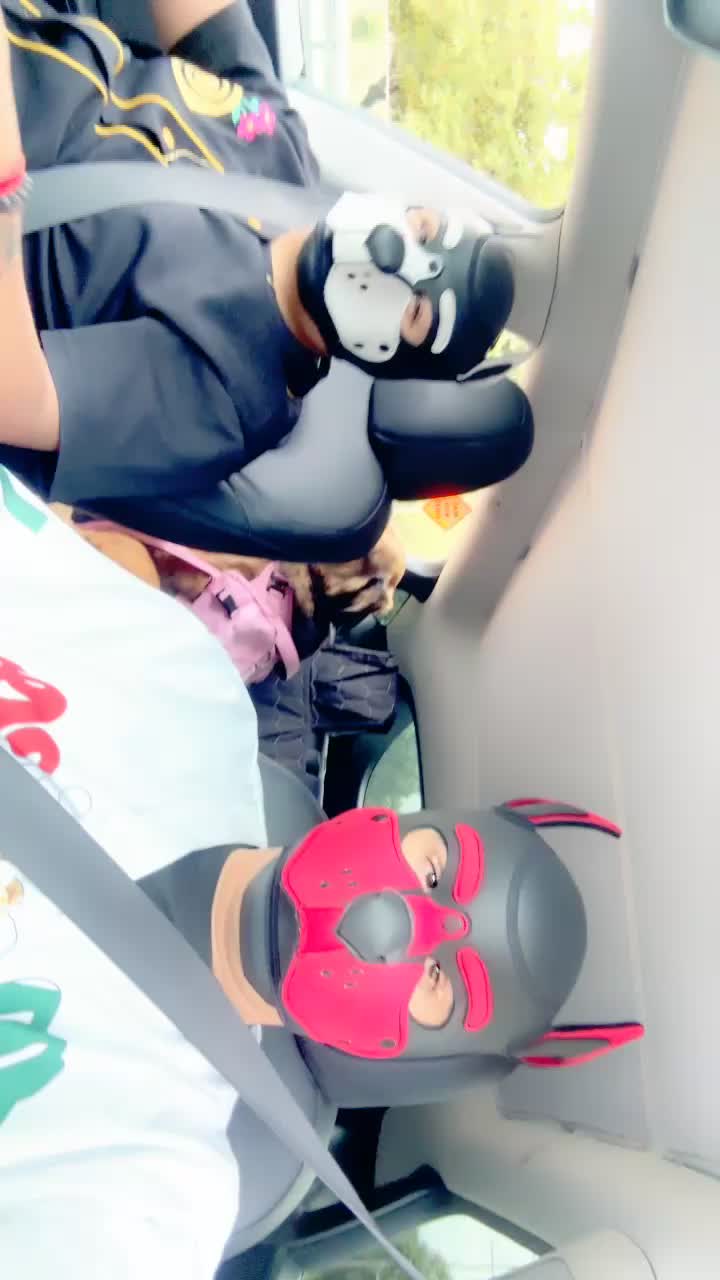@pup_fenrir