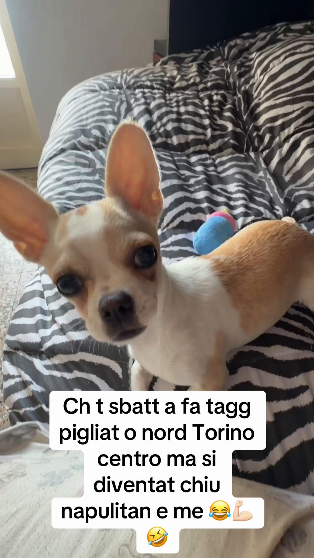 @Meryrosy89napoli