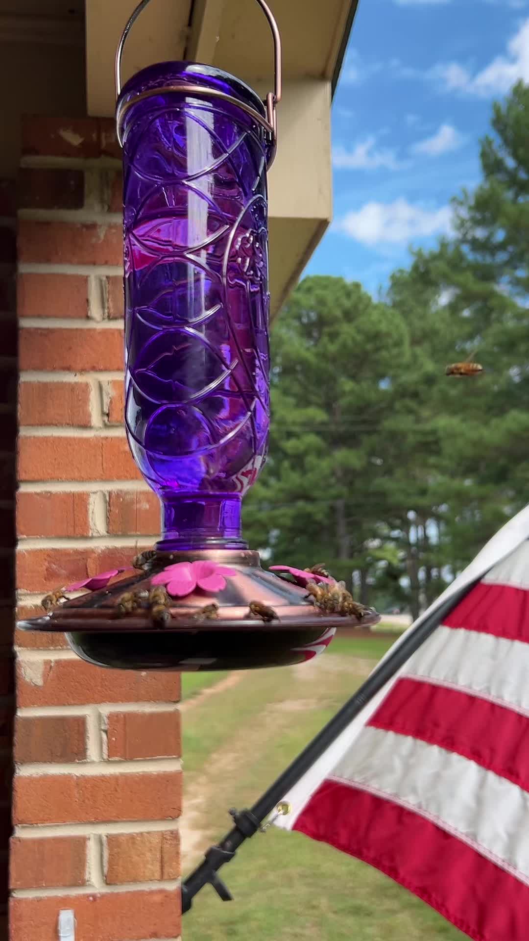 @plumbnutty