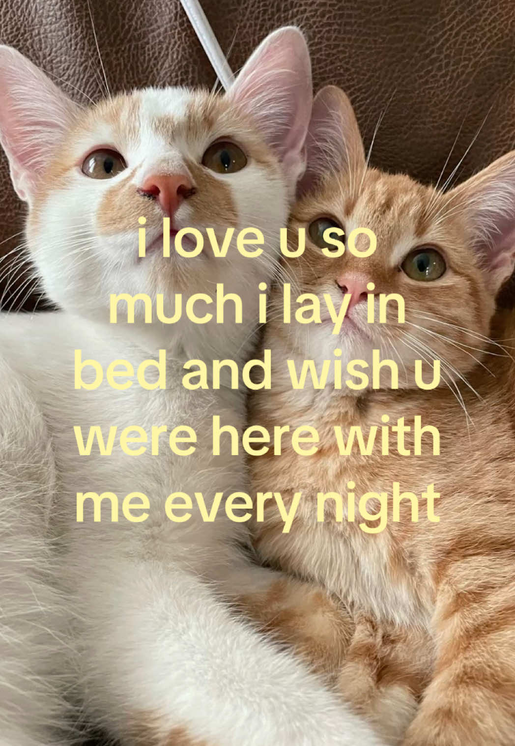 @caughtafeeling