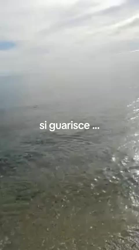 @magnagrecia