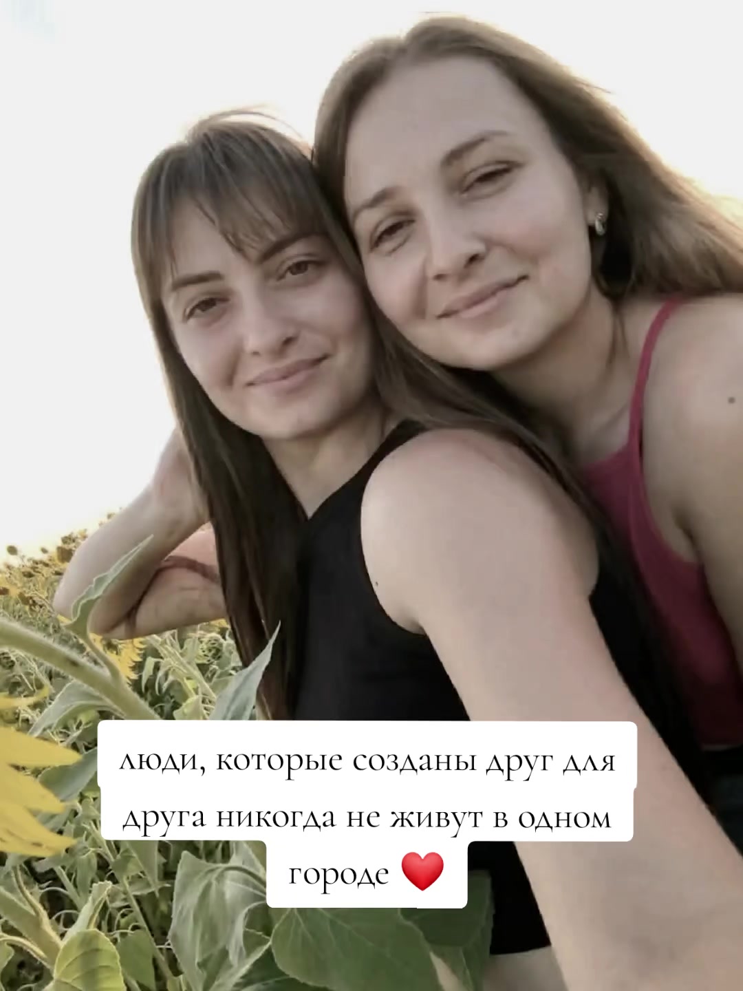 @☼SOLNYSHKO☼