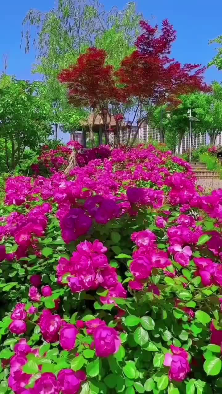 @nadjiaguessoum2nadjiague