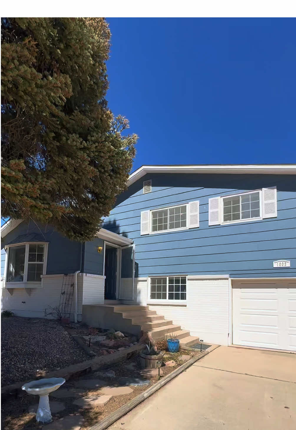 @Brandon Guerrero, CO Realtor