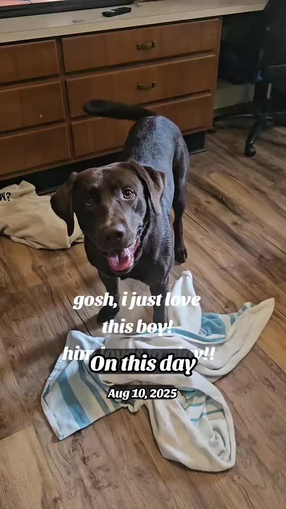 @TMAC❌️ tammymcconnell76