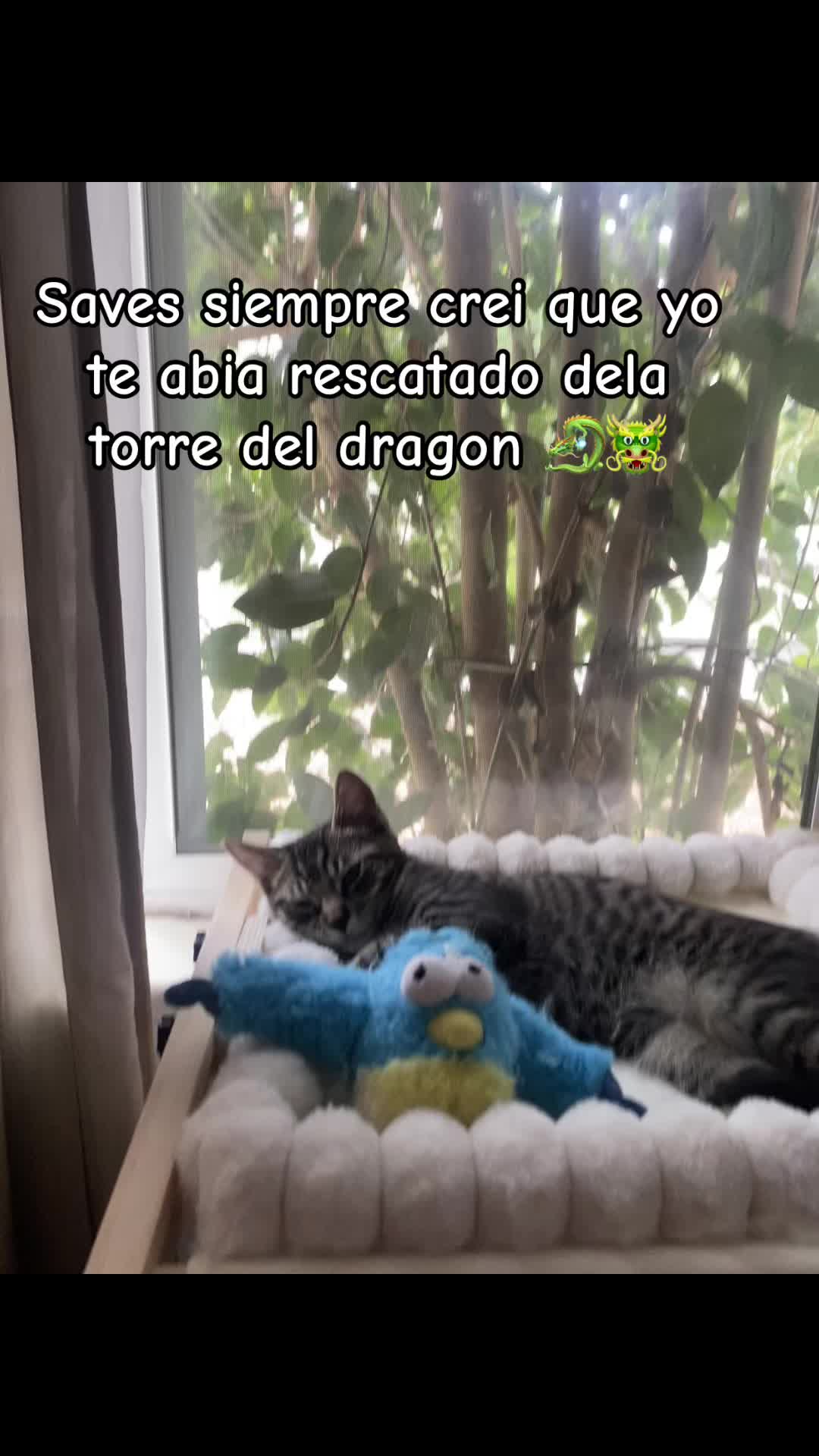 @tiko