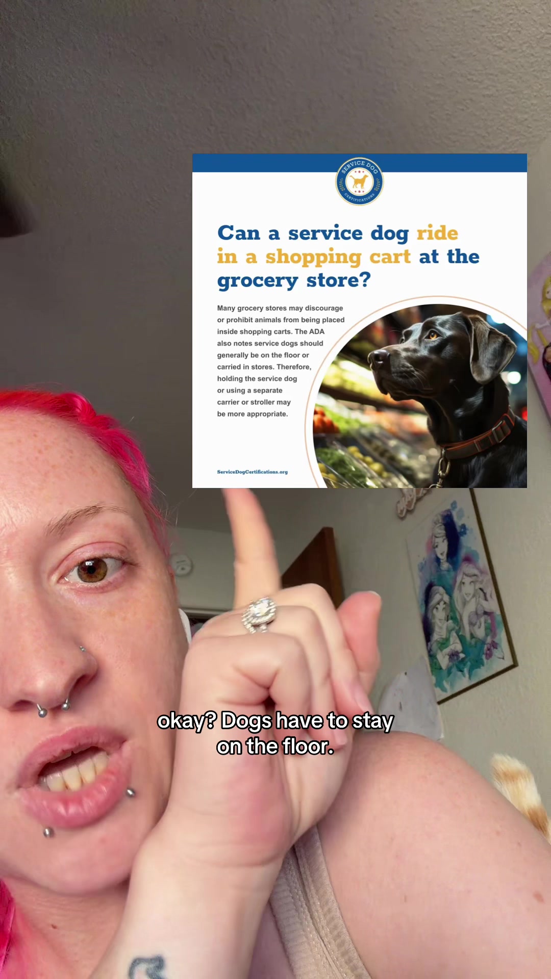 @Basic Abby ๐ Content Creator