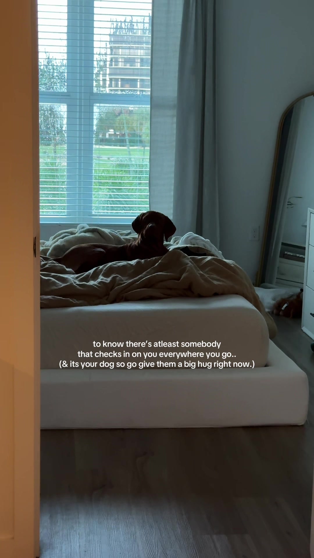 @B R I S T O N