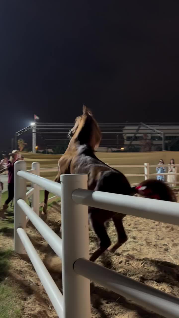 @ThunderGallops