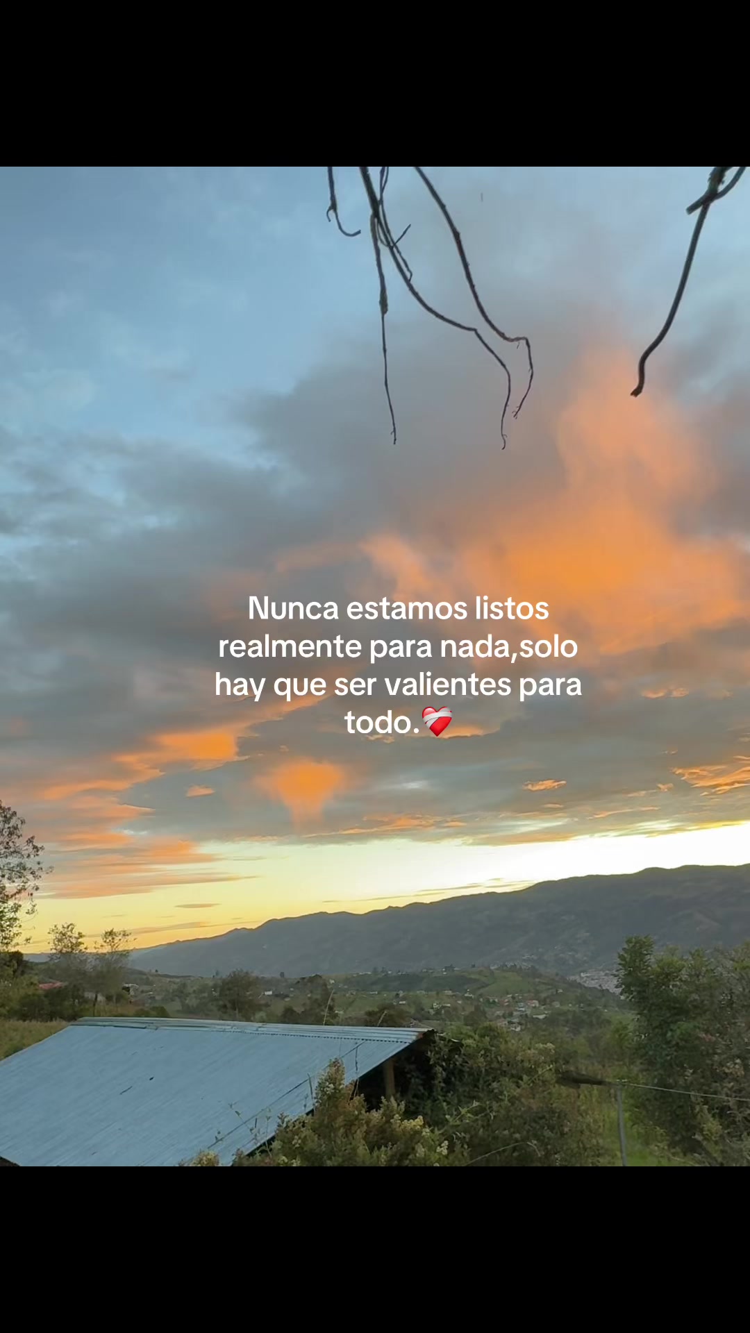 @Fernanda Cuji🕷️