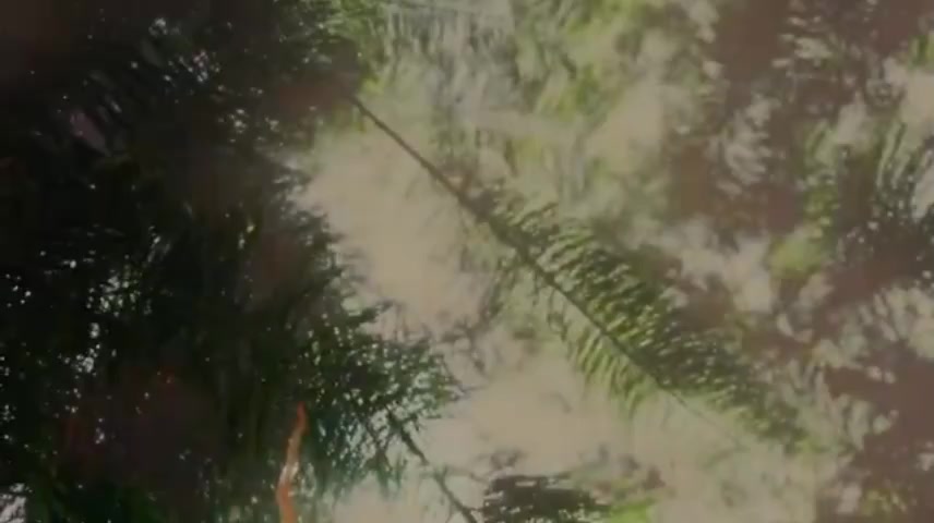 @tuldok 🦋