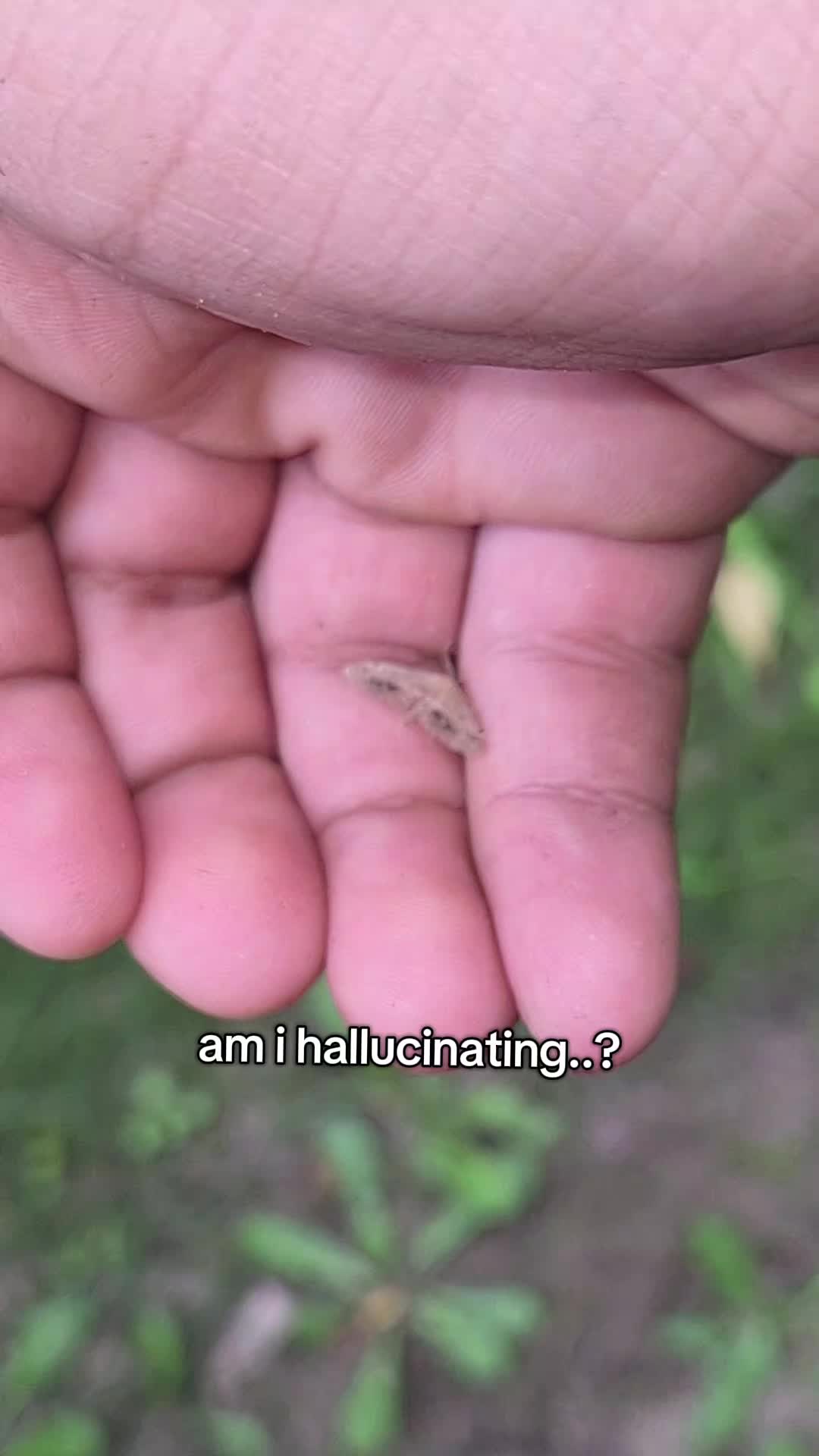 @big veiny dih hopps69🌱