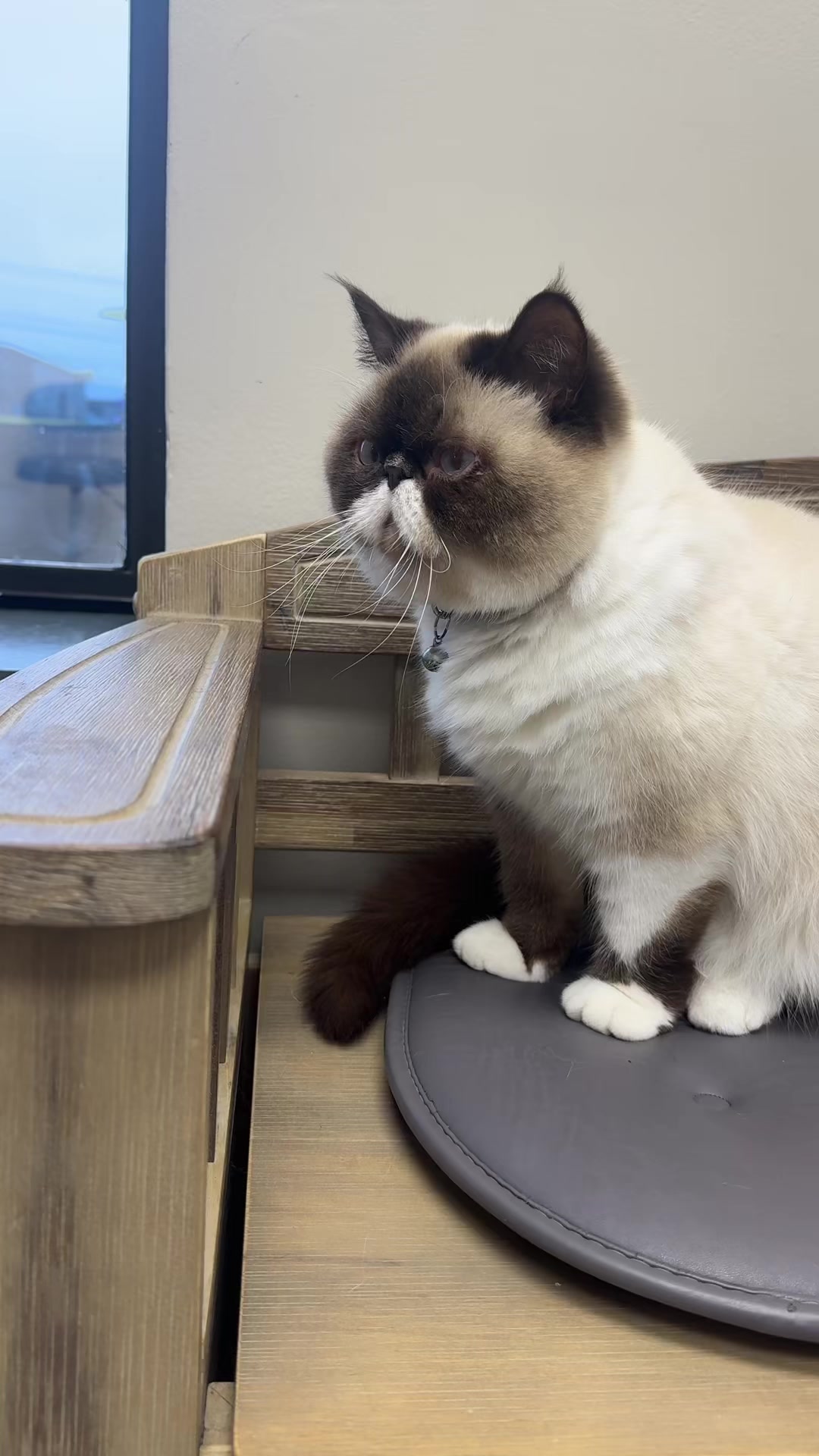 @Snodgrass Vet