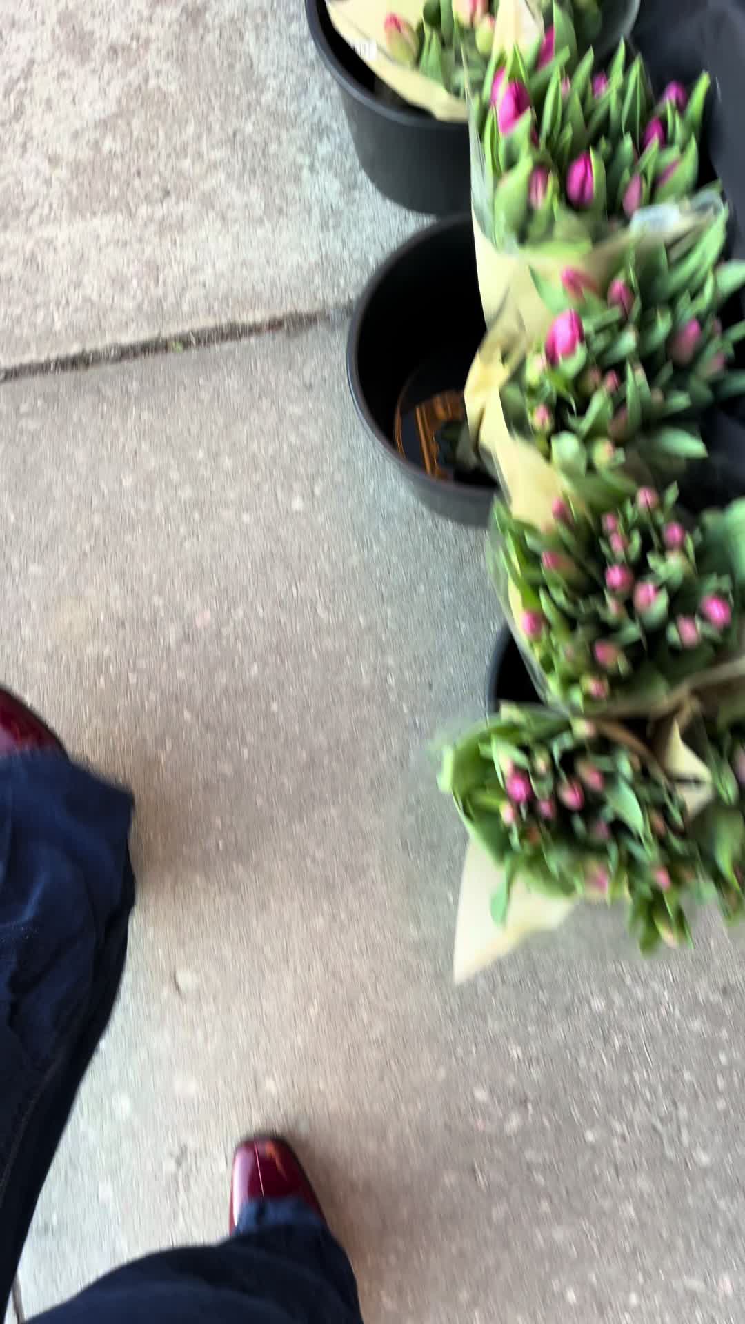 @شهد