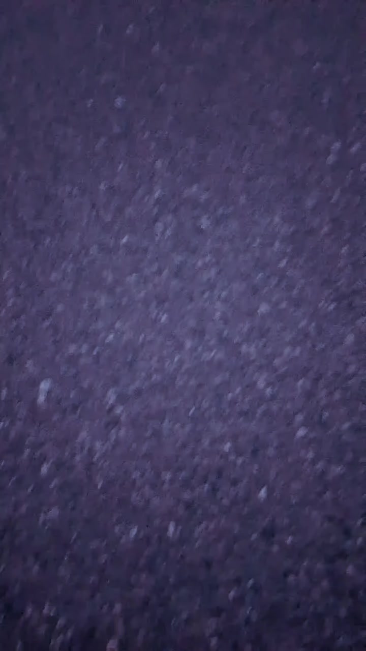@꧁☆*κɪɴɢ*☆꧂