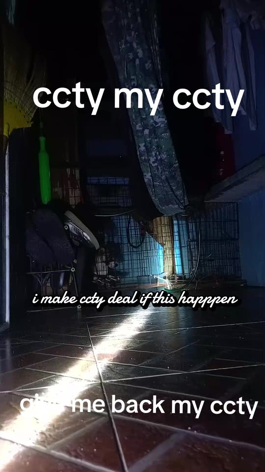 @meowl🅥