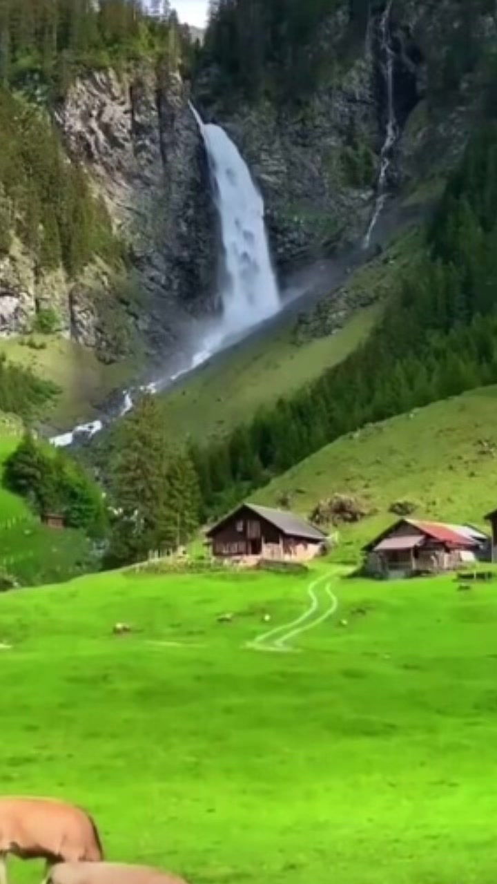 @naimuraktar