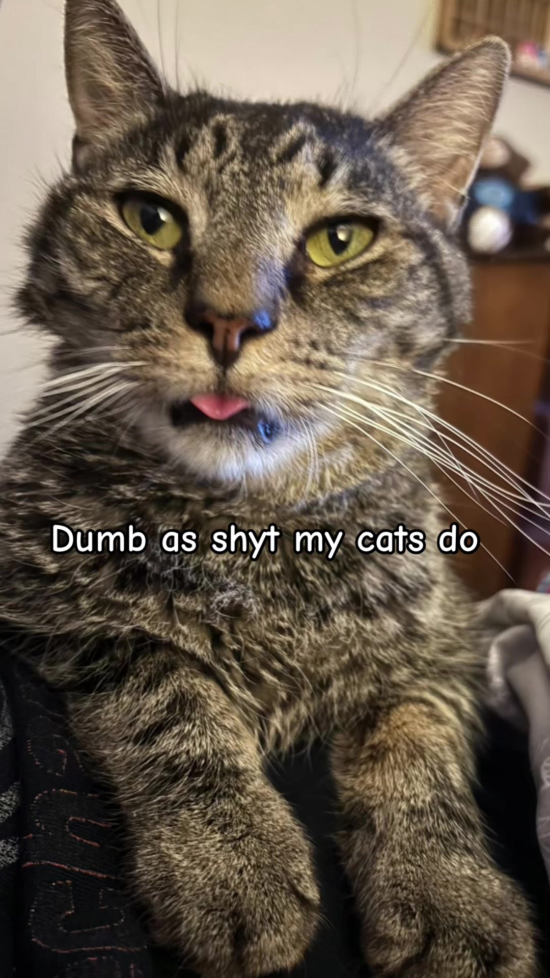 @Jaylin