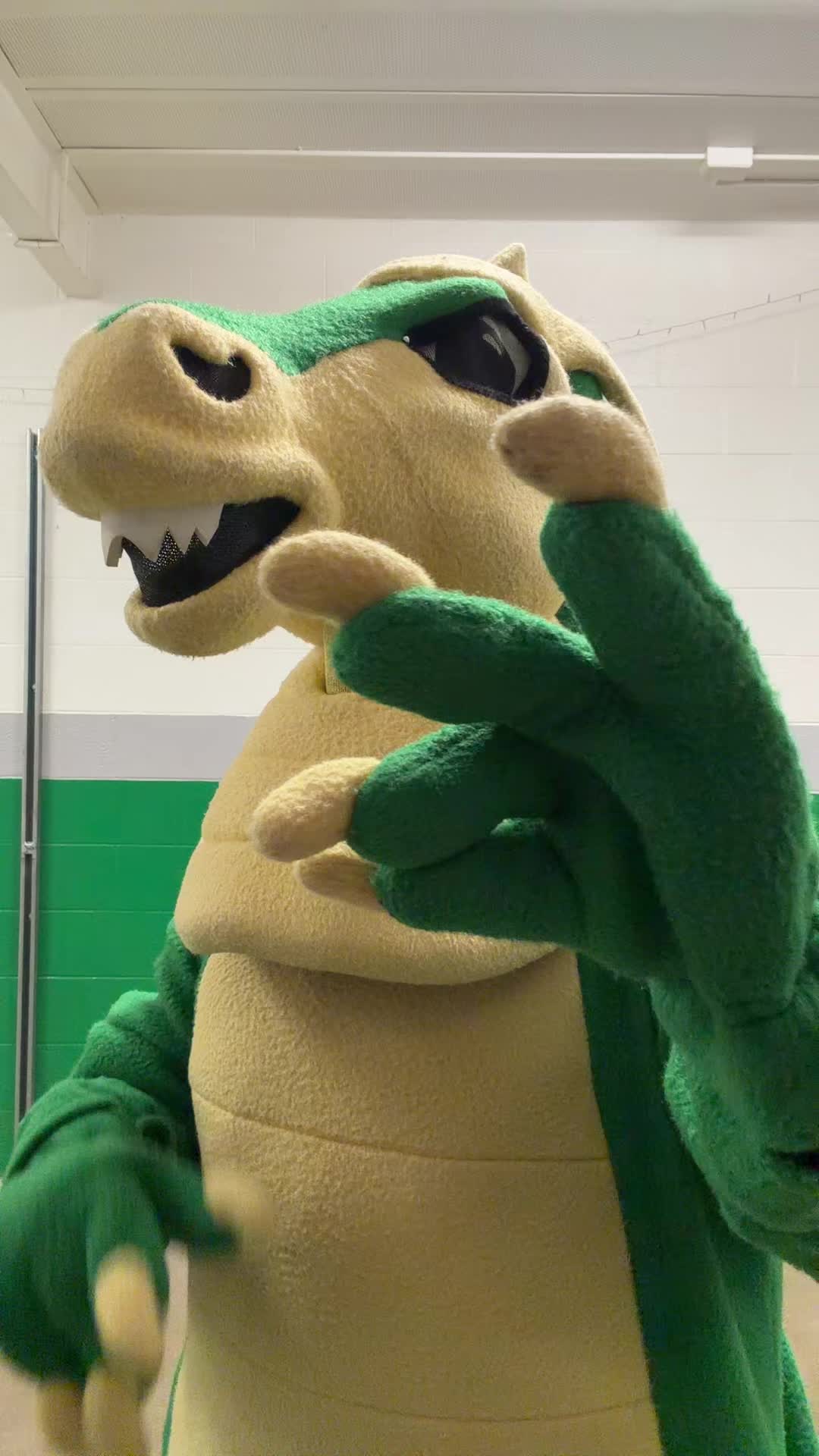 @SGHS mascot