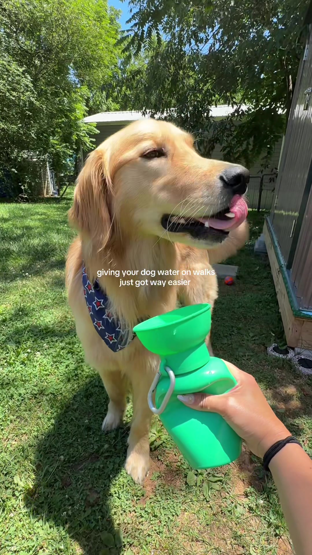 @Josi B🦮