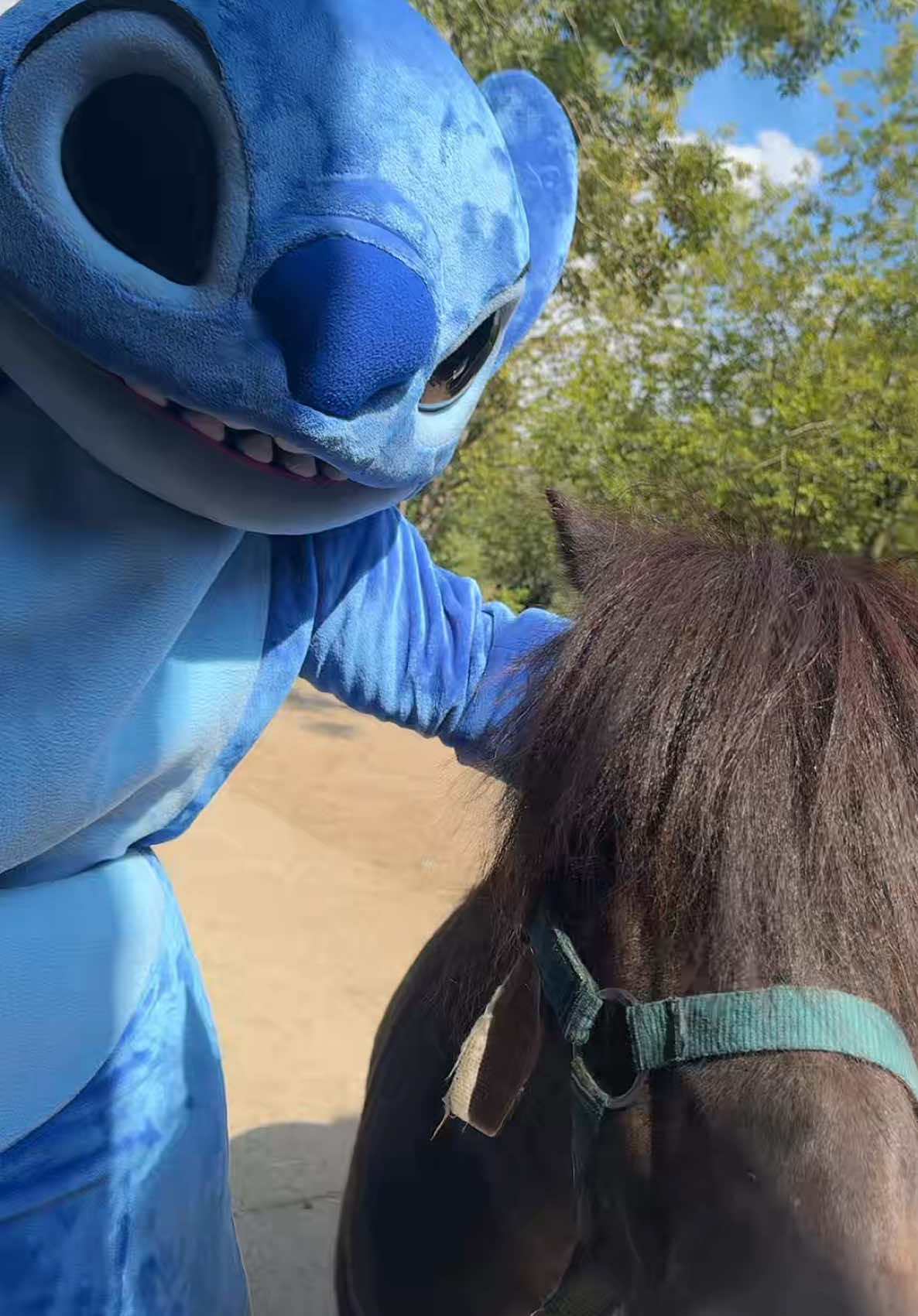 @Mascotopia🐻